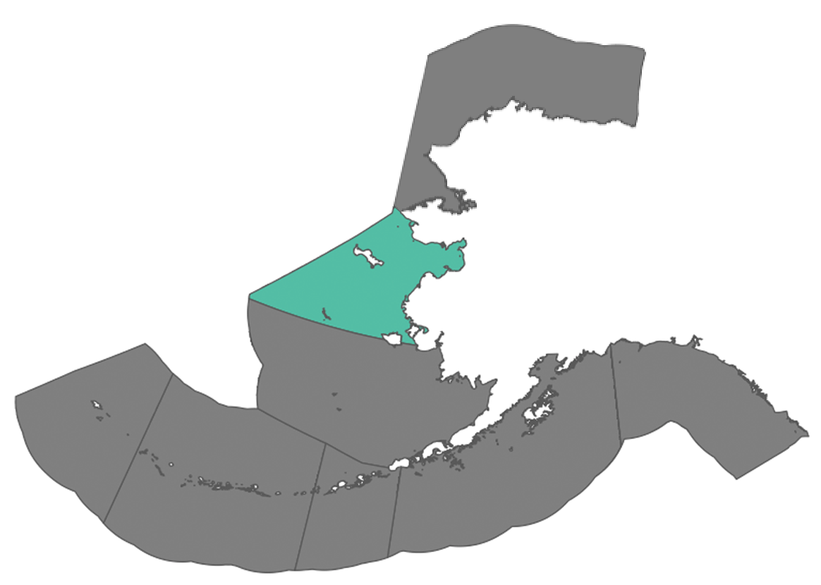 Northern Bering